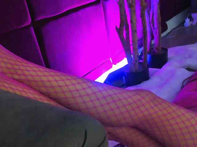 SugarMaple webcam