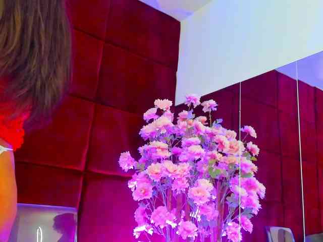 SugarMaple webcam