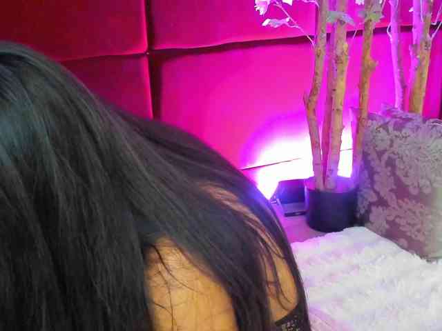 SugarMaple webcam