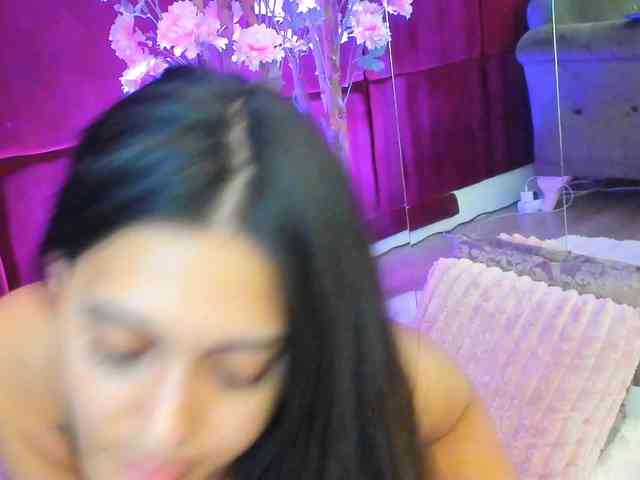 SugarMaple webcam