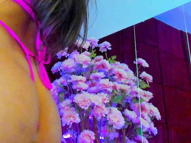 SugarMaple webcam