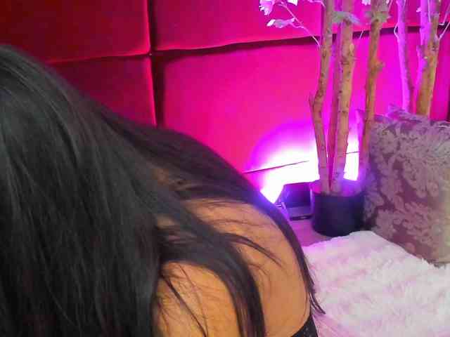 SugarMaple webcam