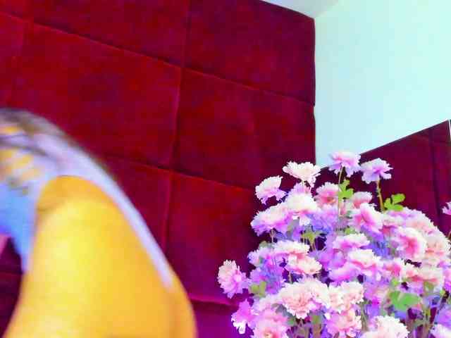 SugarMaple webcam