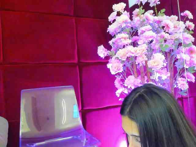 SugarMaple webcam