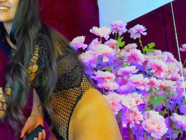 SugarMaple webcam