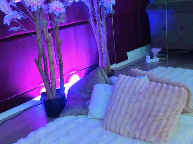 SugarMaple webcam
