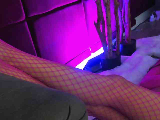 SugarMaple webcam