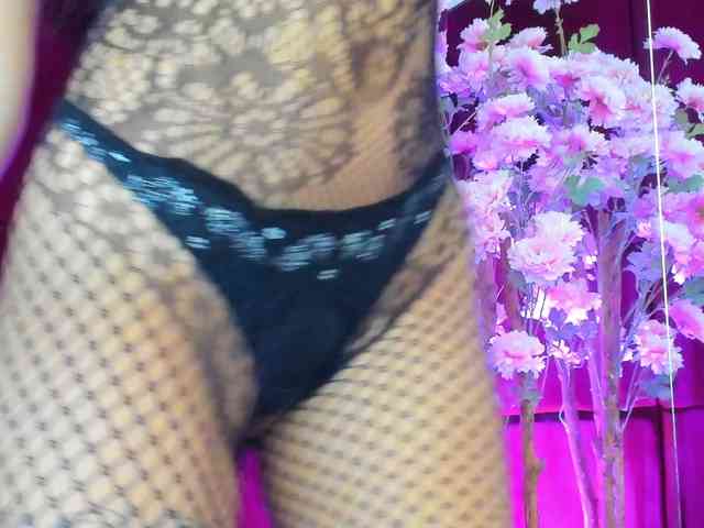 SugarMaple webcam