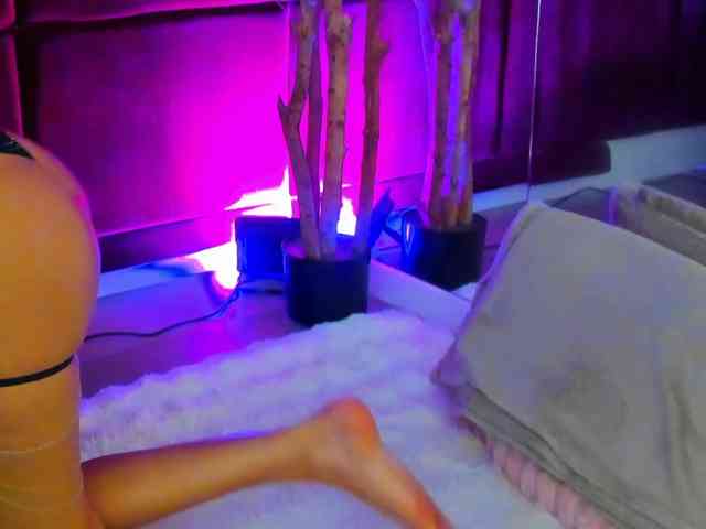 SugarMaple webcam