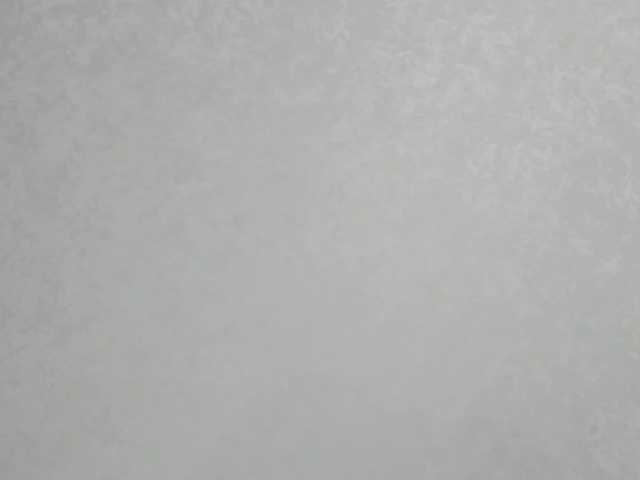 lostmoon's BongaCams show and profile