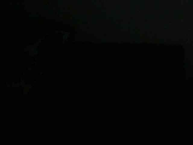 Prettylisa webcam