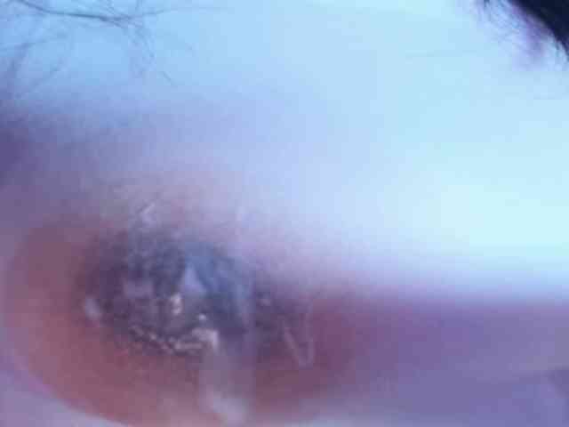 carla-jones webcam