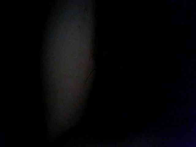 Anastasia2017 webcam