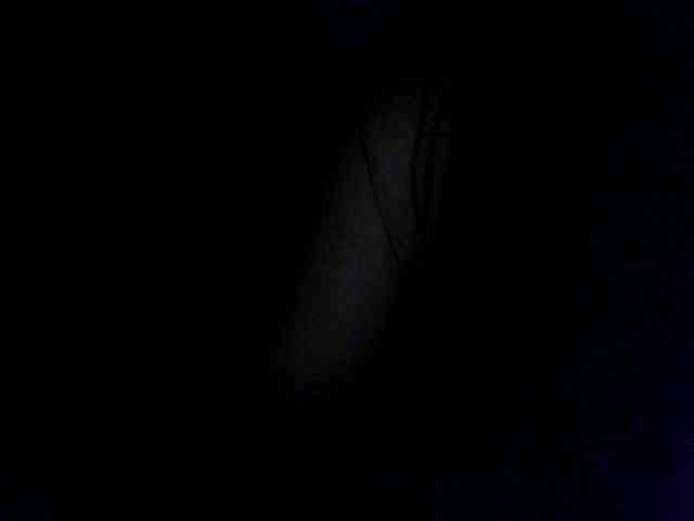 Anastasia2017 webcam