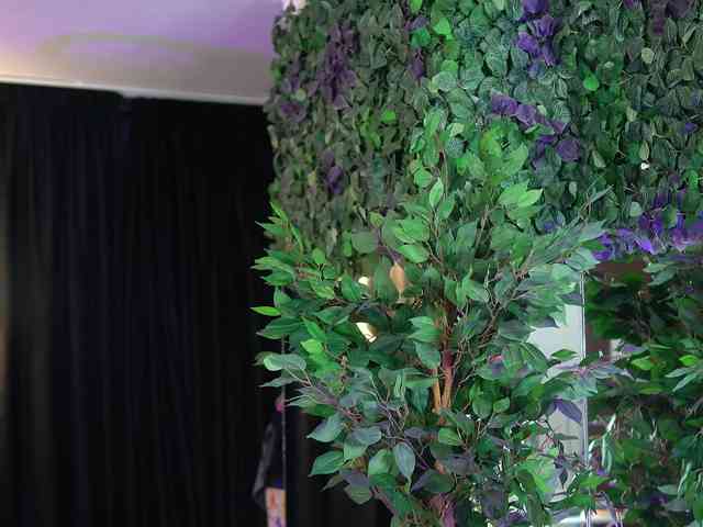 YuliaDesirevska YuliaDesirevska