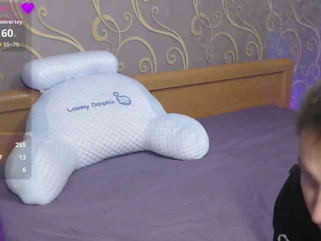 DmiLay webcam