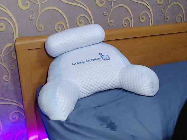DmiLay webcam