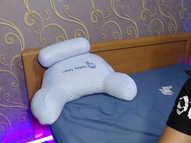 DmiLay webcam