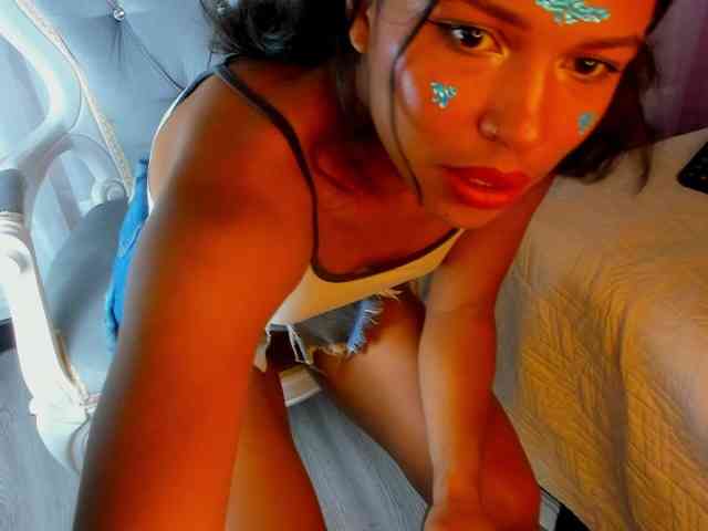 Dakashyten webcam