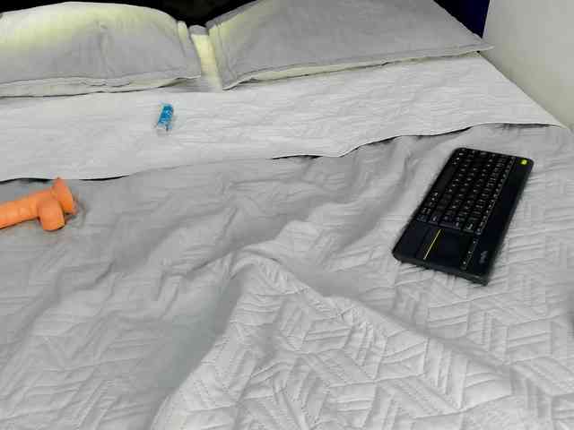 Phoenix-Raee webcam