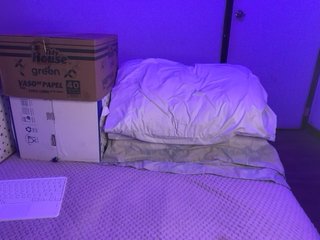 sofilasanta Porn Show