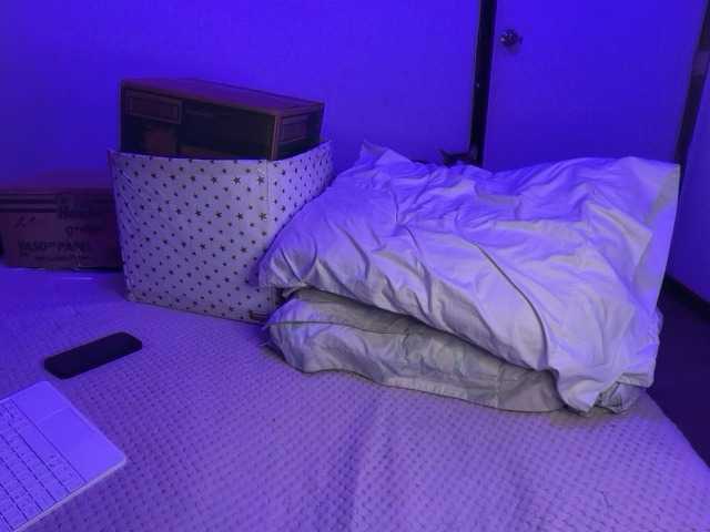 sofilasanta's BongaCams show and profile