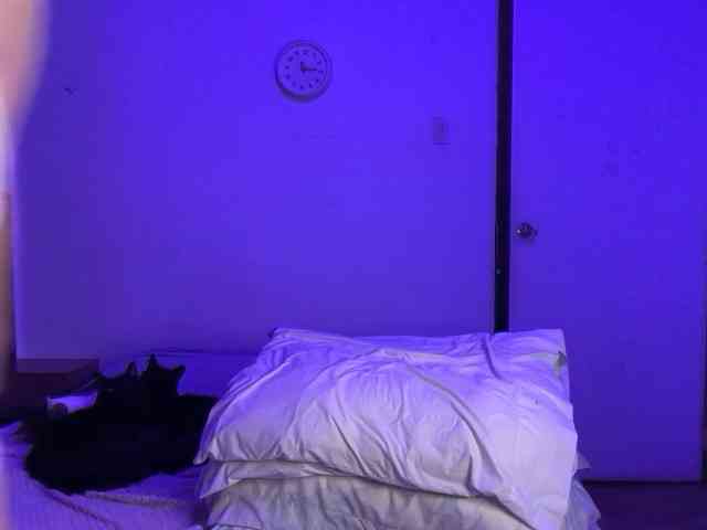 sofilasanta sofilasanta