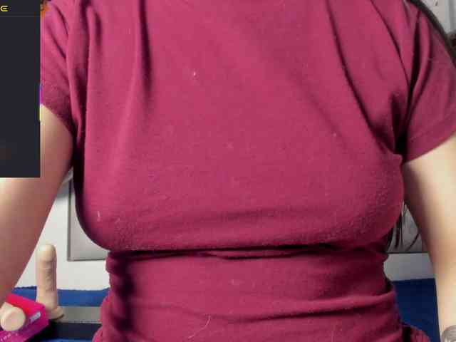 Samantha-js webcam