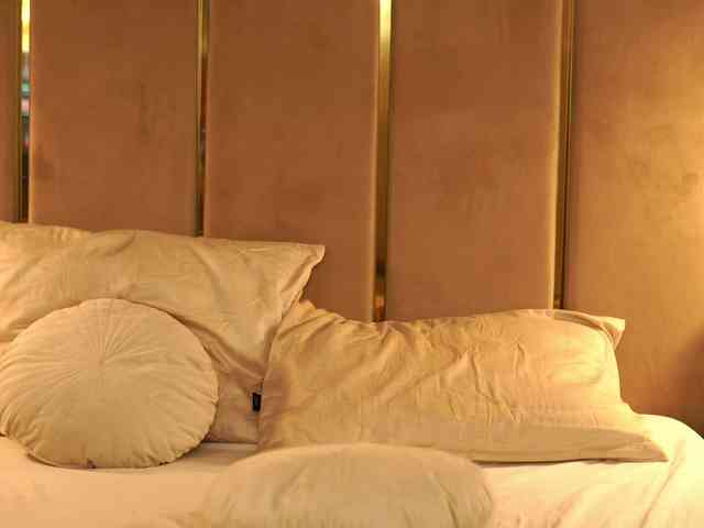 CamilaStarr CamilaStarr