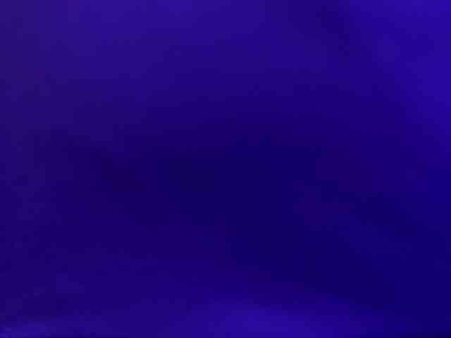 CamilaStarr CamilaStarr