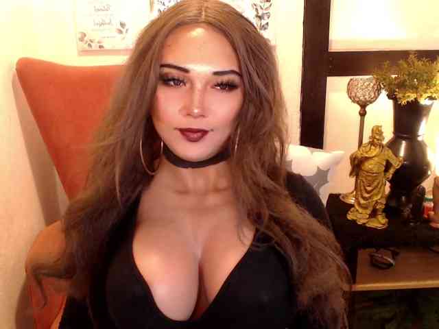 CuteyCumShasha Live Webcam on BongaCams