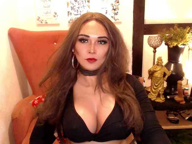 CuteyCumShasha Live Webcam on BongaCams