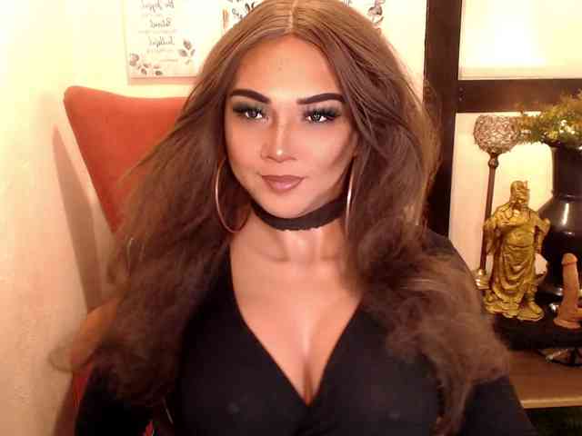 CuteyCumShasha Live Webcam on BongaCams
