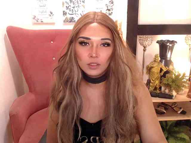 CuteyCumShasha Live Webcam on BongaCams