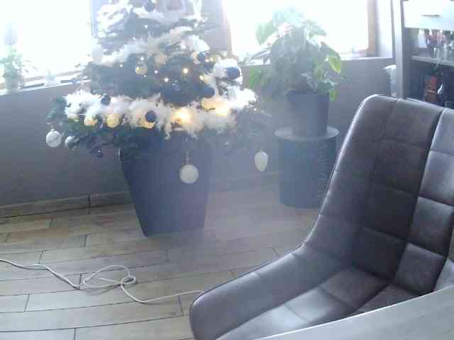 Lady-gloria6969 Lady-gloria6969