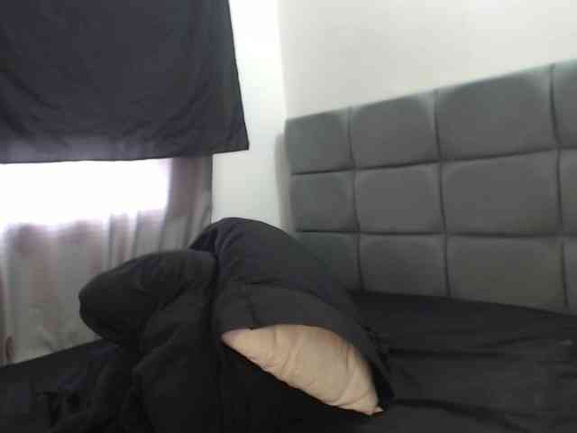 Seyra webcam