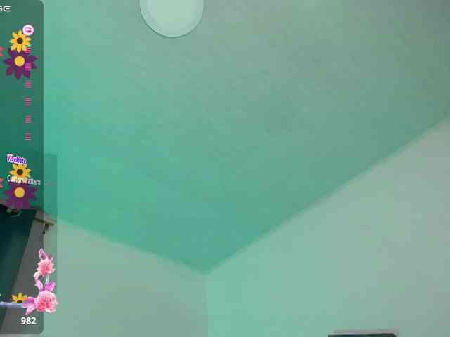Alahia webcam
