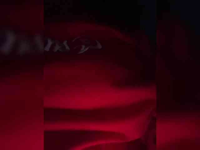 Alahia webcam