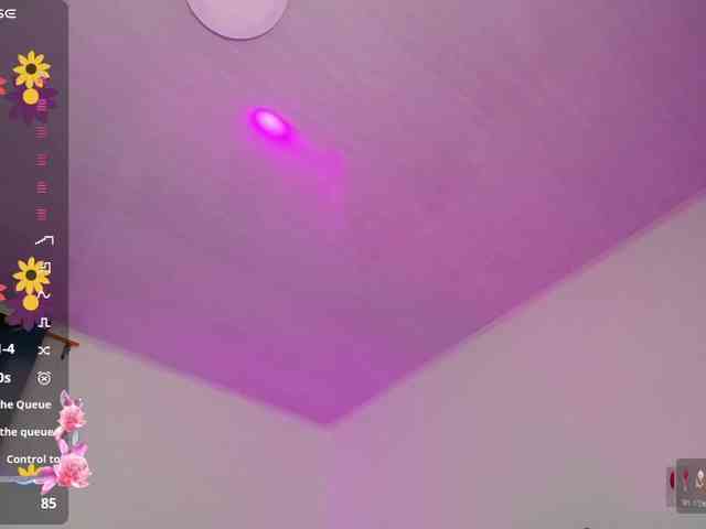 Alahia webcam