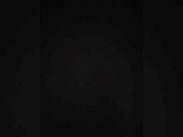 Alahia webcam