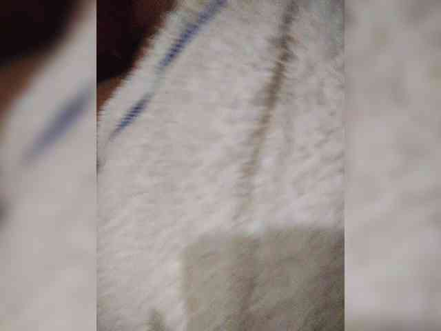 Alahia webcam
