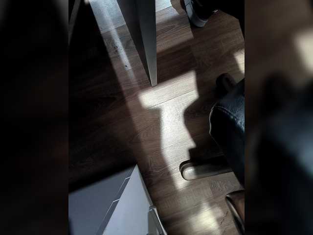 SaNS40