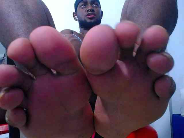 BlackStalliion69 BlackStalliion69