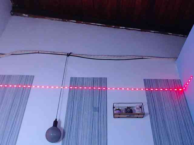 BlackStalliion69 BlackStalliion69