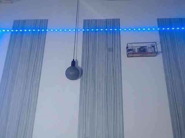 BlackStalliion69 BlackStalliion69