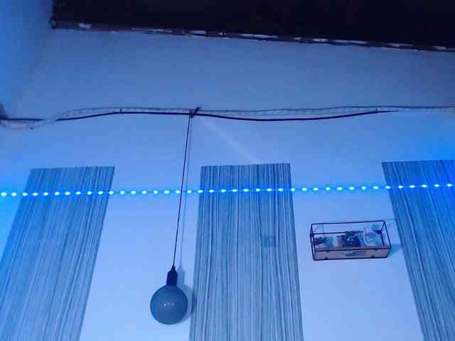 BlackStalliion69 Live Webcam on BongaCams