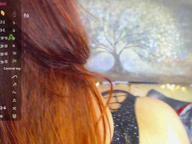 -WhoopiePie webcam