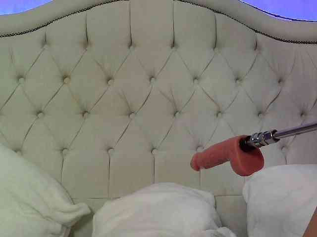 Carol_Ass webcam