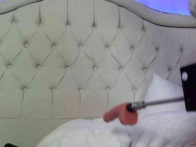 Carol_Ass webcam