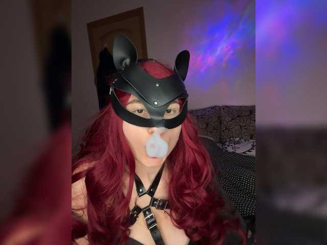 AliceHeat